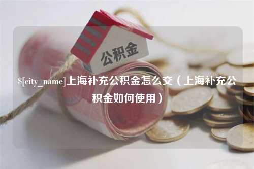 安康上海补充公积金怎么交（上海补充公积金如何使用）
